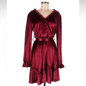 NWT beautiful velvet dress!